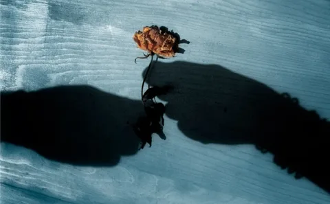 Conceptual photograph: Color of love